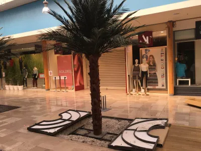 Plantation de palmiers stabilisés en galerie marchande sur Avignon