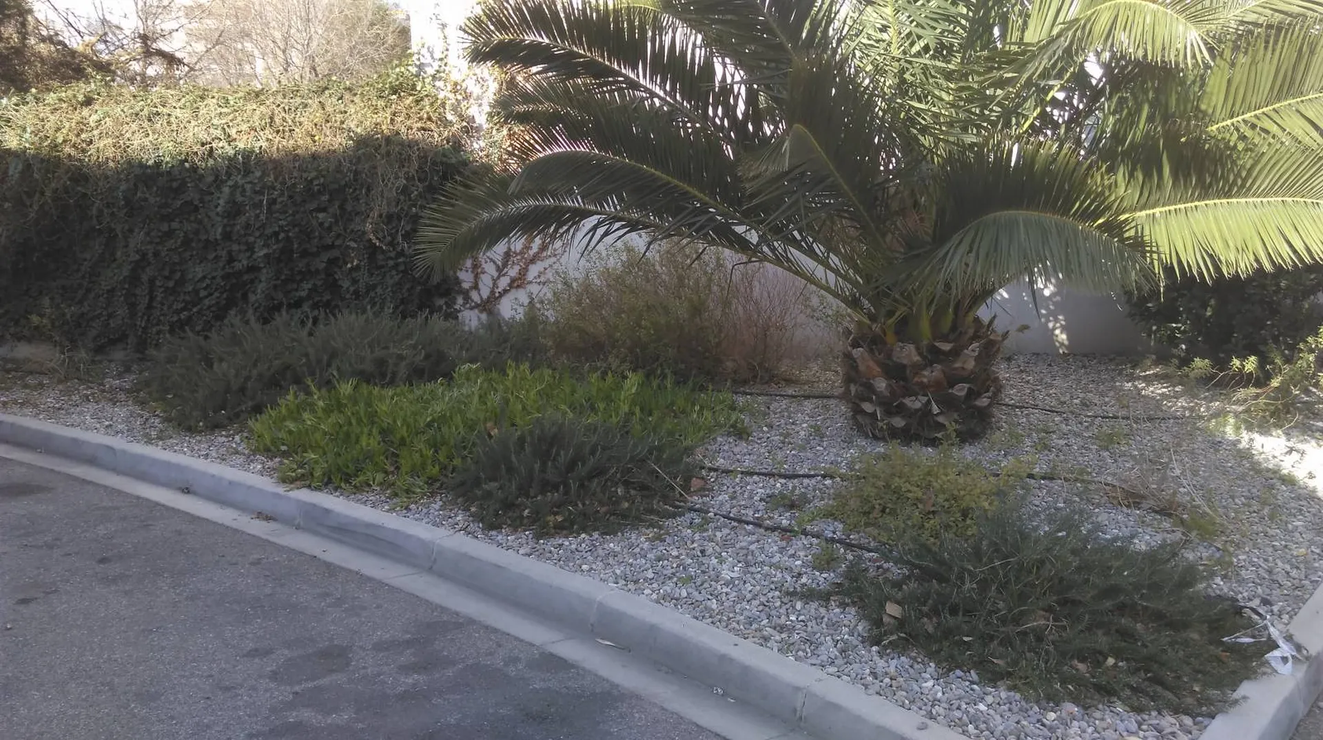 Création et Aménagements de Jardins pour les Entreprises sur Marseille