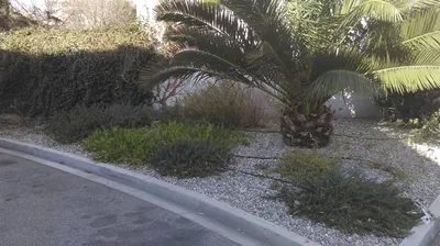 Création et Aménagements de Jardins pour les Entreprises sur Marseille