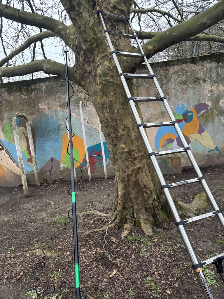 Spécialiste de destruction de nid de guêpes et frelons en hauteur à Villefranche