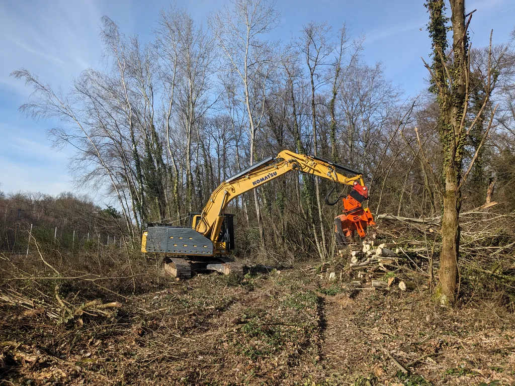 Réalisation d'un abattage mécanique de sécurité d'arbres sur 10m de large avec une pelle 20T avec cisaille en bordure de voie ferrée à Savigneux dans l'Ain