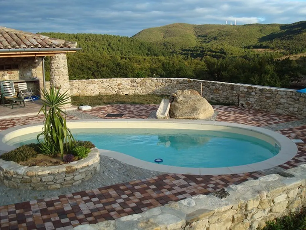 piscine avec forme naturelle dans jardin