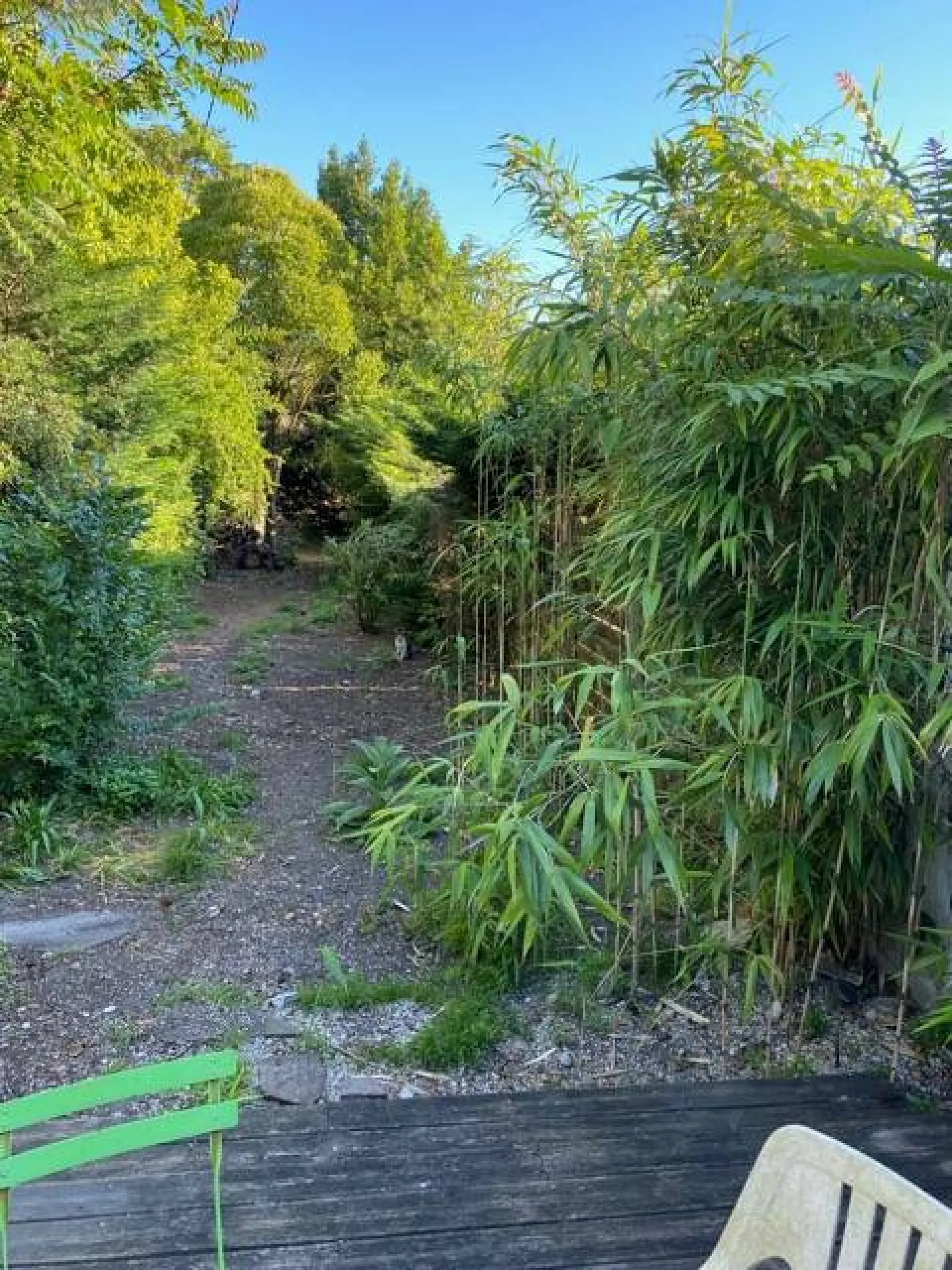 A vendre échoppe avec grand jardin