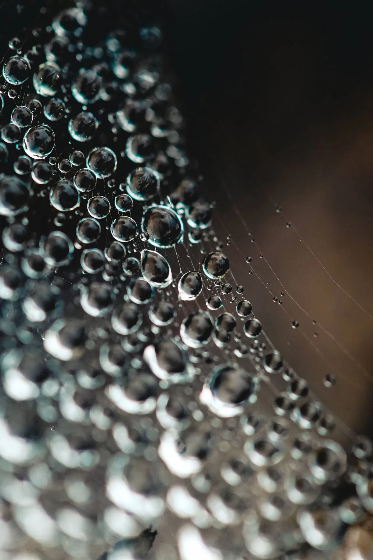 Spécialiste en détection de fuite d'eau non destructive à Aix-en-Provence : recherche précise sur réseaux extérieurs, piscines et arrosage automatique