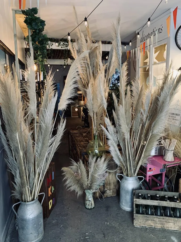 Location herbe de la pampa