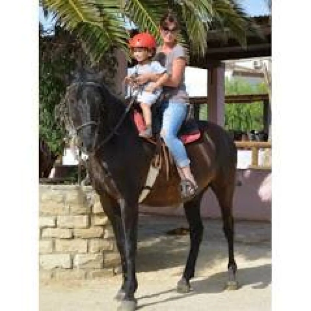selle biblace el rancho 