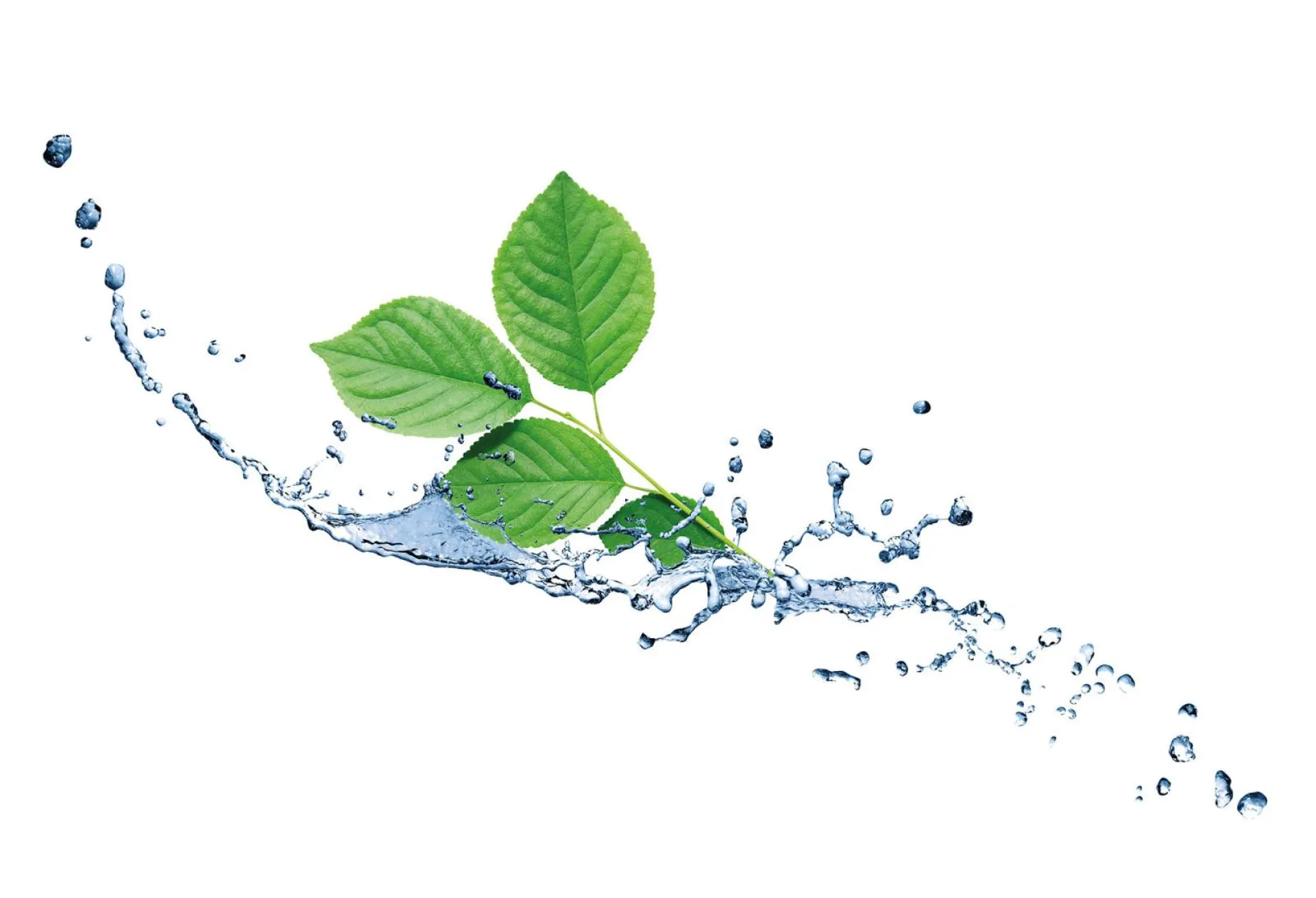 QUALITÉ & ENVIRONNEMENT, SOYONS RESPONSABLES !
