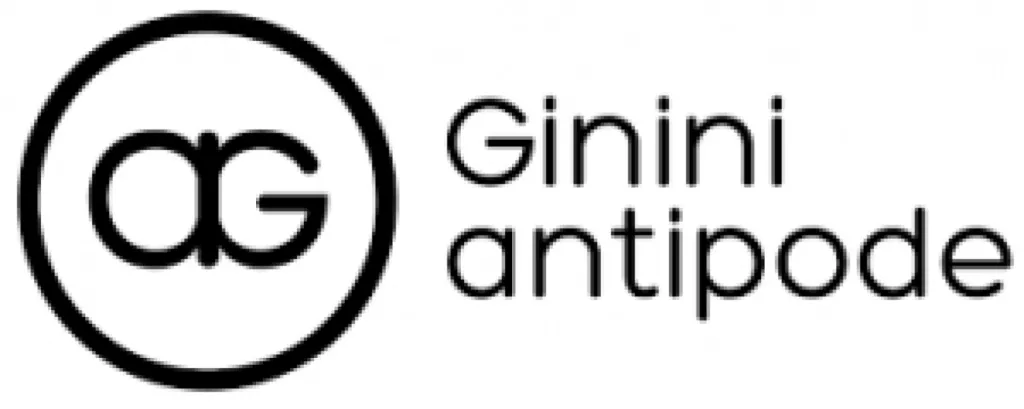Cabinet de conseil pour les Directions Financières à Paris Ginini-Antipode