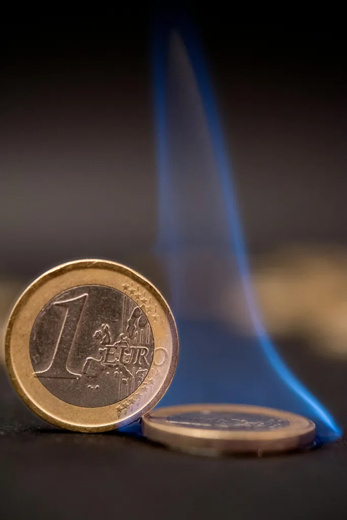 Prix dératisation appartement Lyon