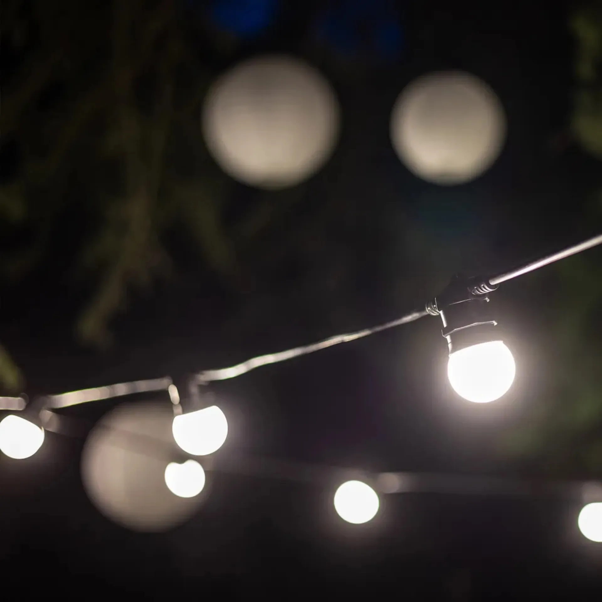 location guirlande guinguette 10m à Bandol dans le var