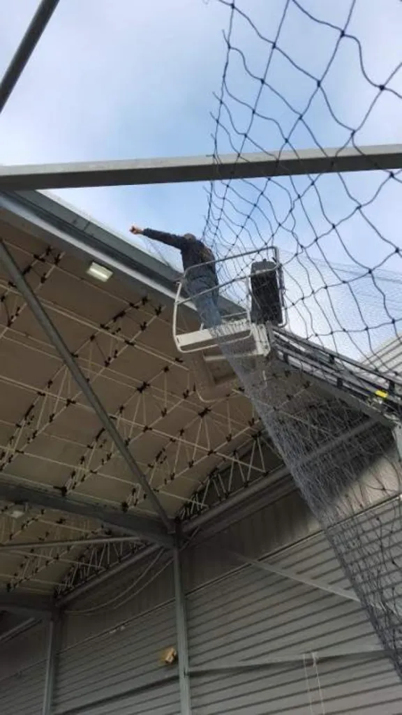anti pigeons roquevaire