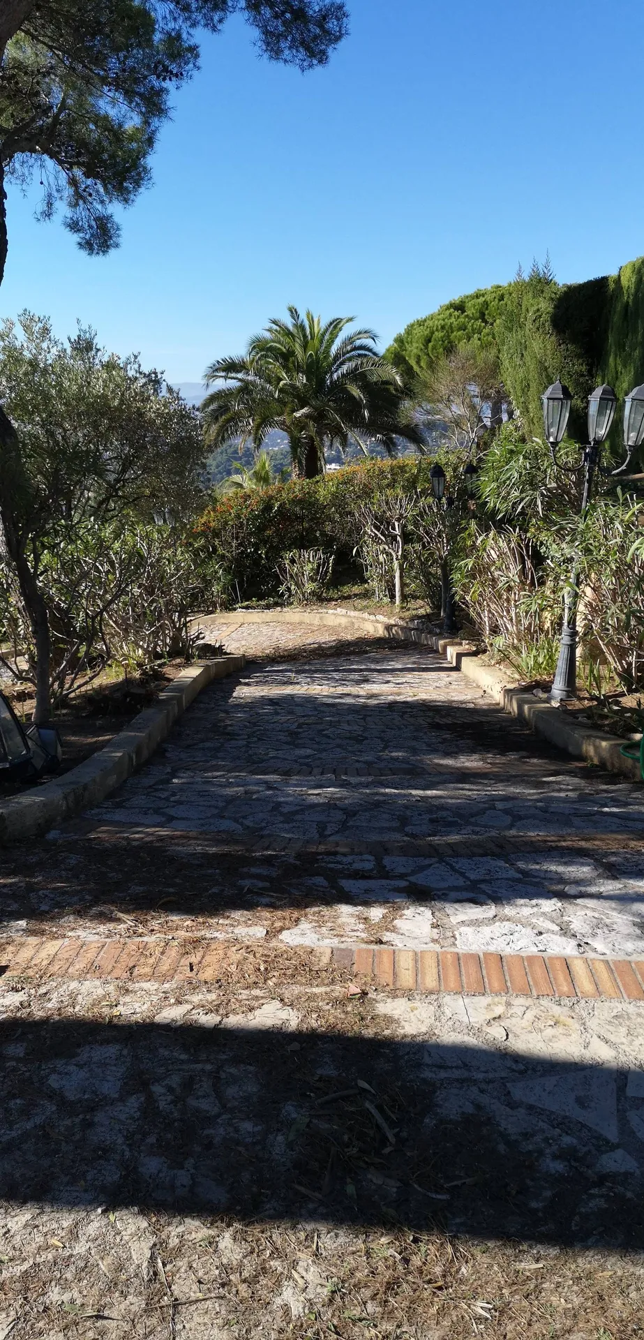 Jardin après remise en état à Antibes