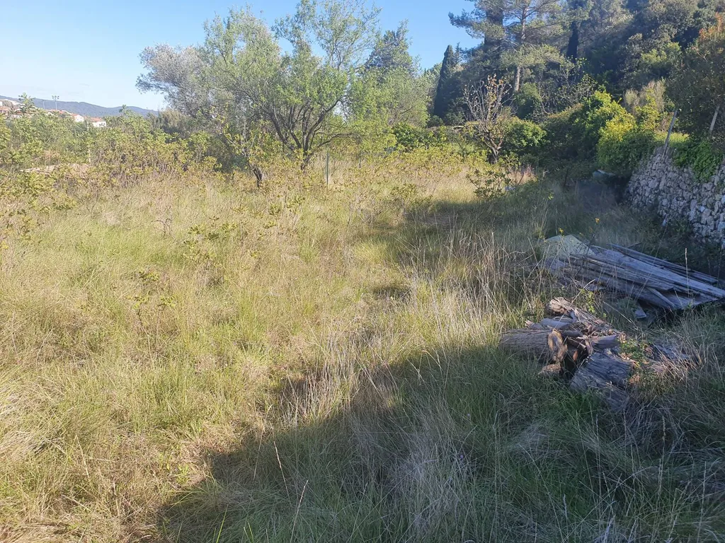 Terrain plat constructible sur Solliès