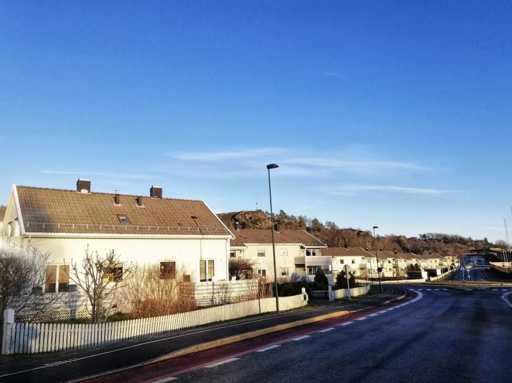 Prévention saisonnière contre les moustiques dans les quartiers pavillonnaires de Toulouse