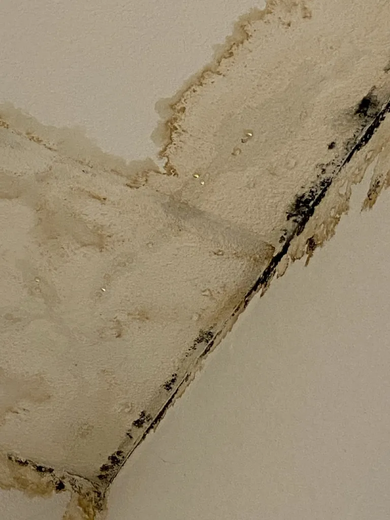 Recherche d'une fuite d'eau non destructive à Tours dans le 37 suite à une surconsommation