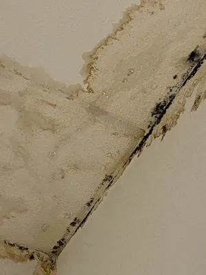 Recherche d'une fuite d'eau non destructive à Tours dans le 37 suite à une surconsommation