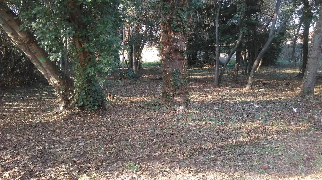 travaux forêt Jardins Forêts de Provence