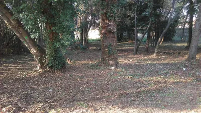 travaux forêt Jardins Forêts de Provence