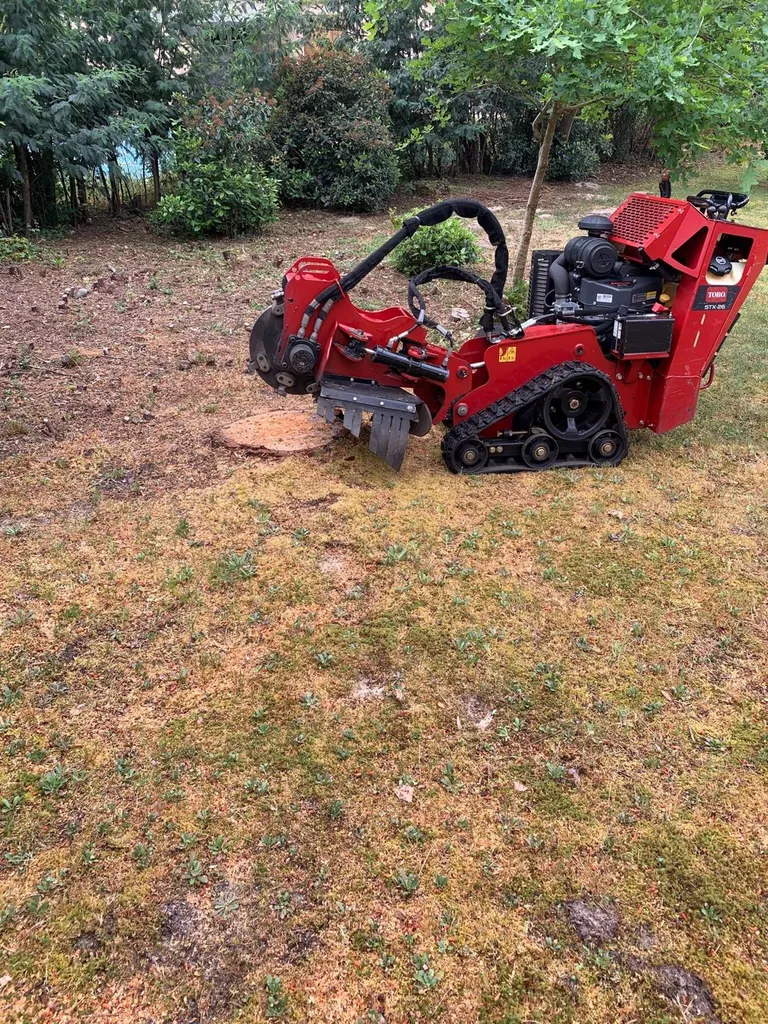 Opter pour Evolution Paysage pour rogner les souches d’arbres aux alentours de Parentis-en-Born