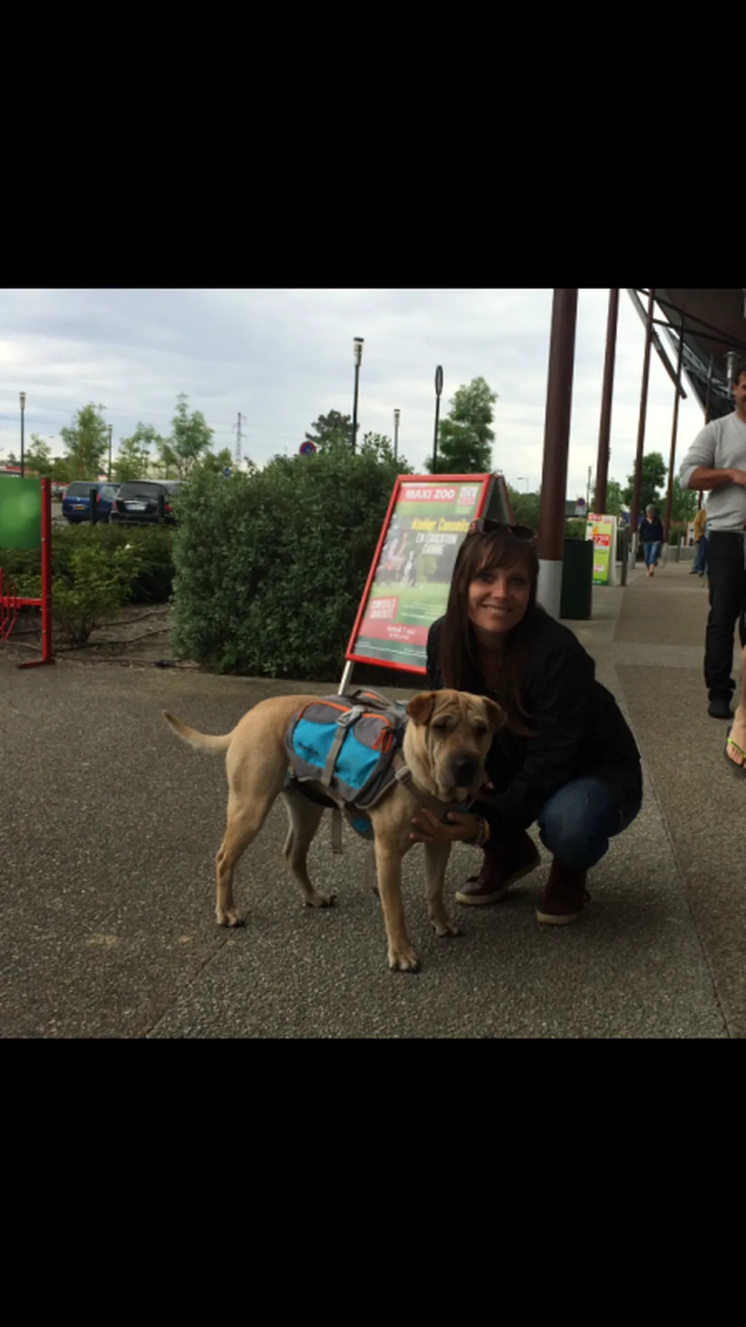 Comportementaliste canin Mios