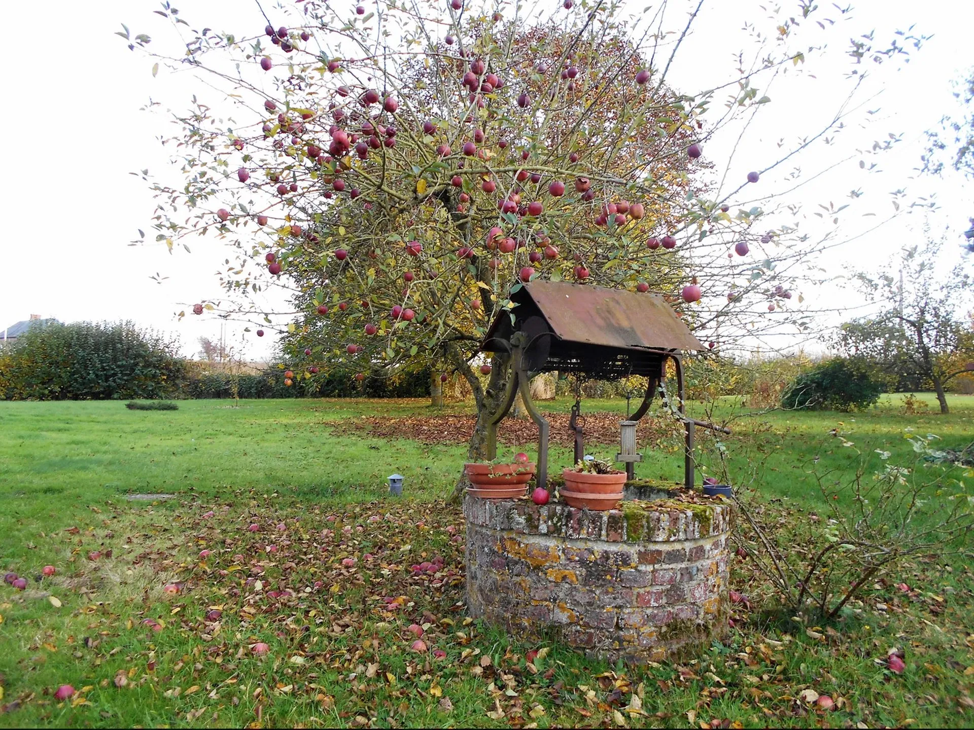 MAISON A VENDRE AVEC DEPENDANCE ET MAISON D'AMIS A LYONS LA FORET
