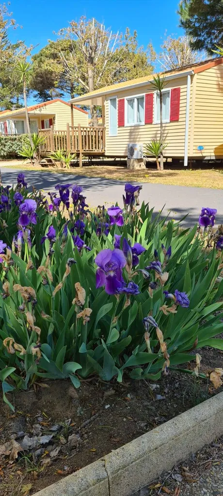 Camping bord de mer et familial camping 4 étoiles à Vias plage proche de Marseillan