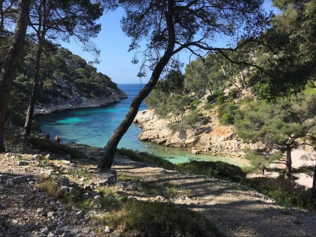 Criques turquoise et falaises des Calanques depuis un bateau privatisé, sortie d’entreprise et team building Provence