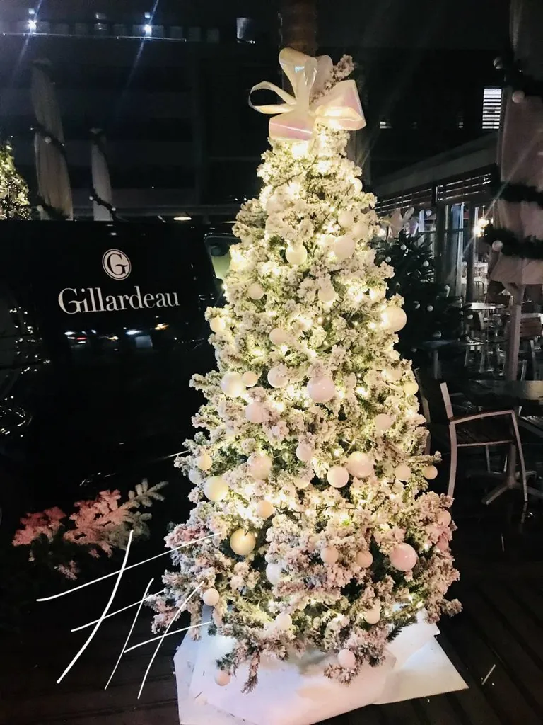 VOS SAPINS DE NOËL par FH Fleuriste