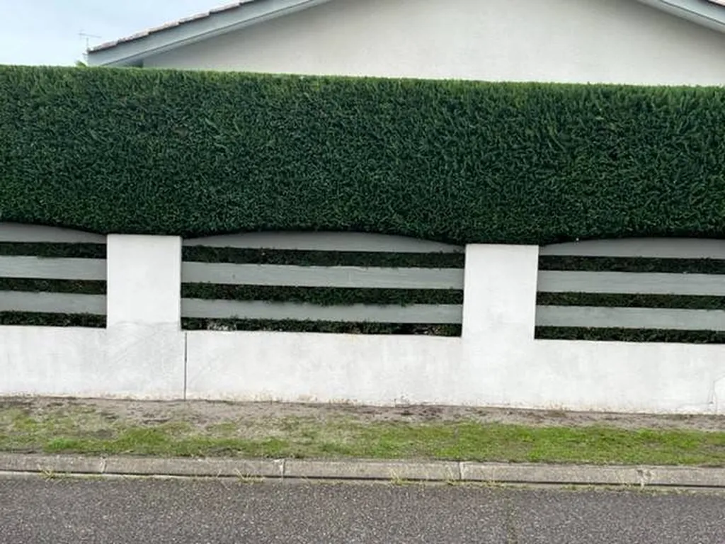 haie de cyprès dans une résidence située à Sanguinet