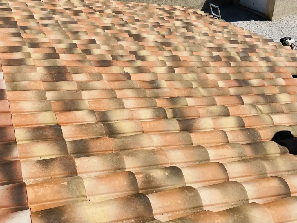Nettoyage et traitement de tuiles mécaniques Abeilles sur Bouc Bel Air près de Aix en Provence 