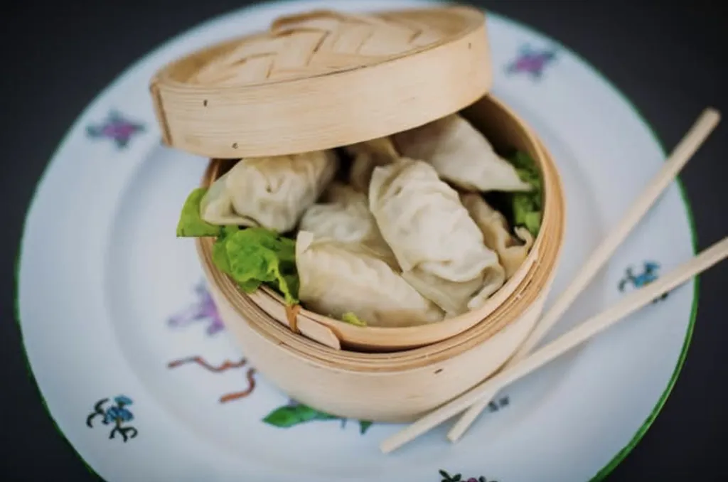 Gyoza légumes