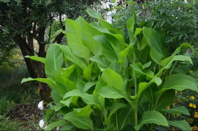 UNE RÉALISATION À LA HAUTEUR D'UN CHÂTEAU D'EXCEPTION SITUÉ DANS LE MÉDOC