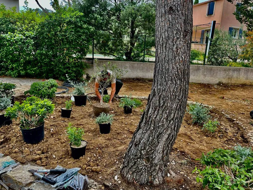 Conception et aménagement paysager vers Villeneuve-lez-Avignon