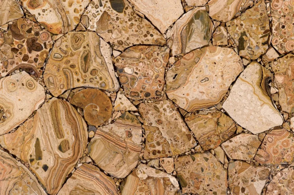 Nos prestations sur le secteur deSainte Maxime proche de Fréjus