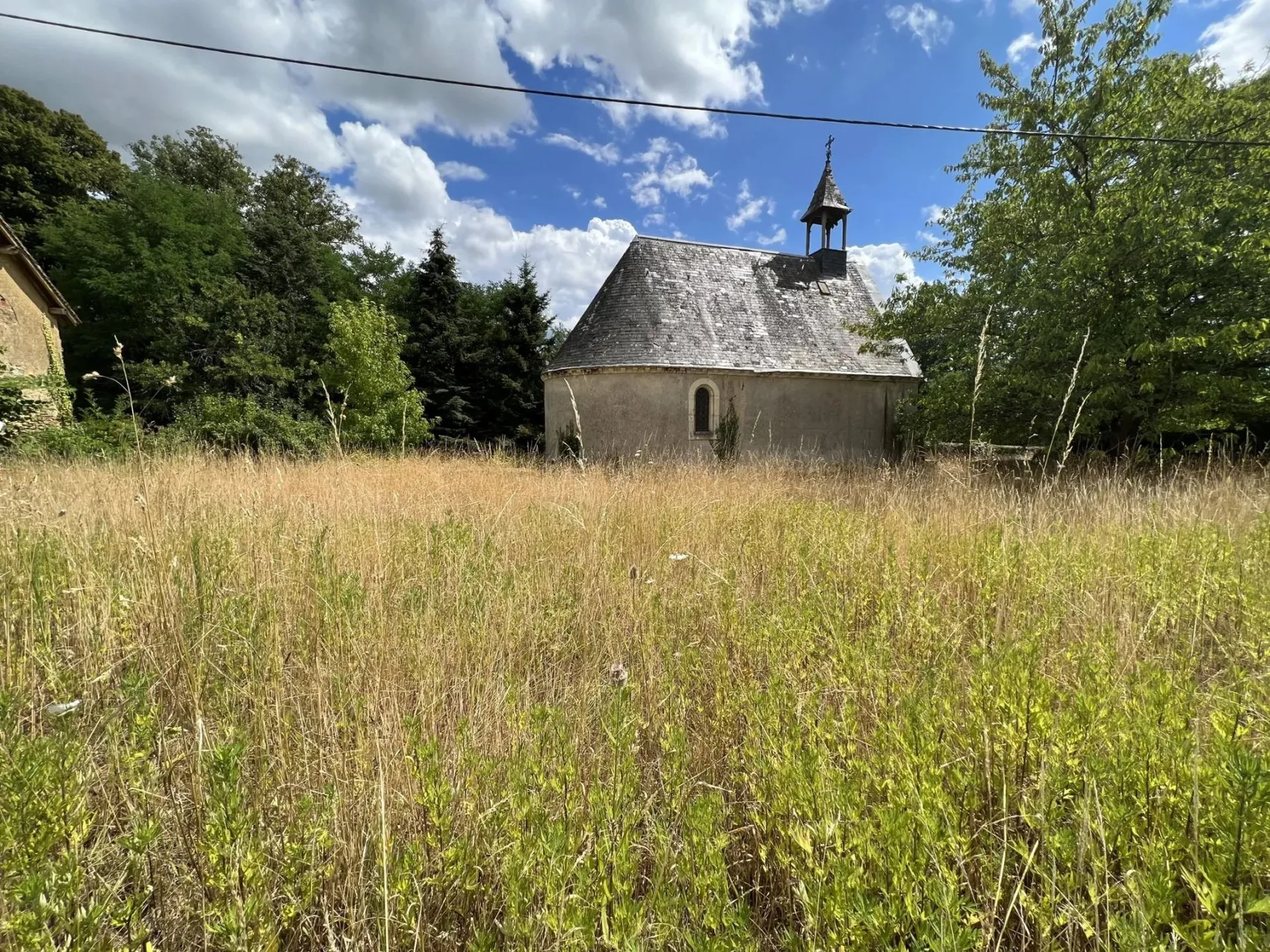 Très grands espaces extérieurs pour ce château à rénover