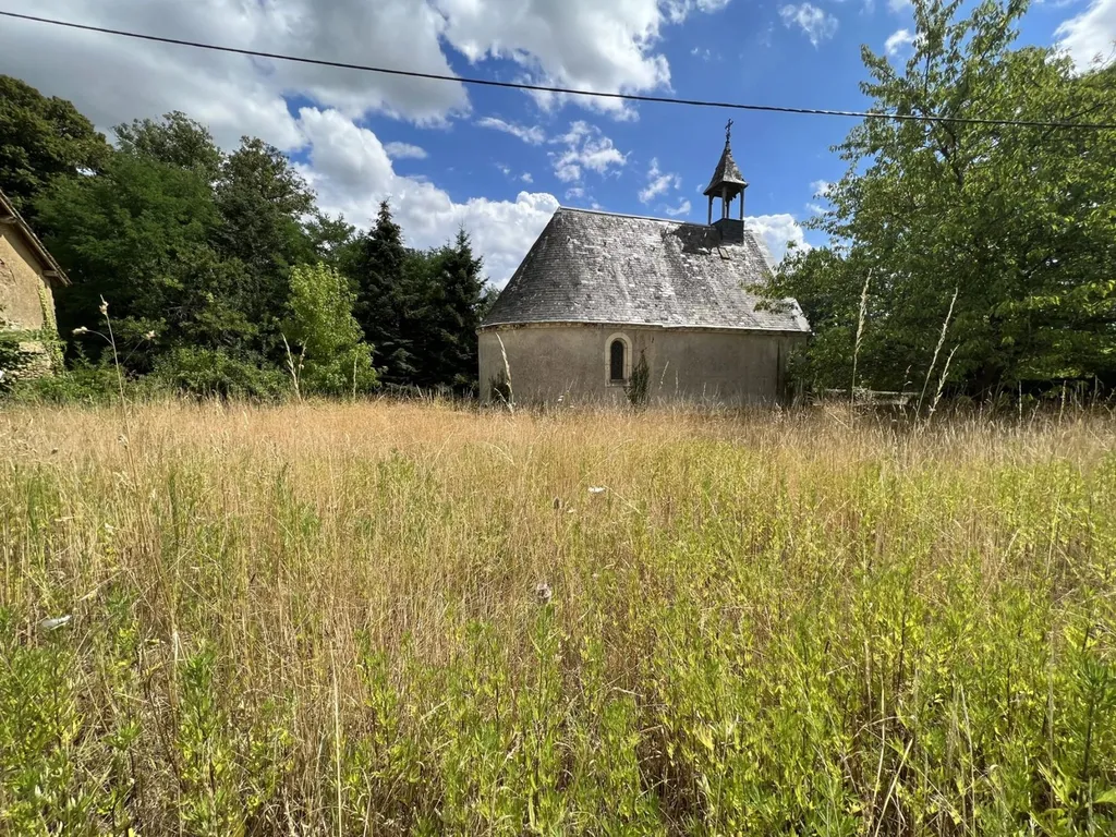 Très grands espaces extérieurs pour ce château à rénover