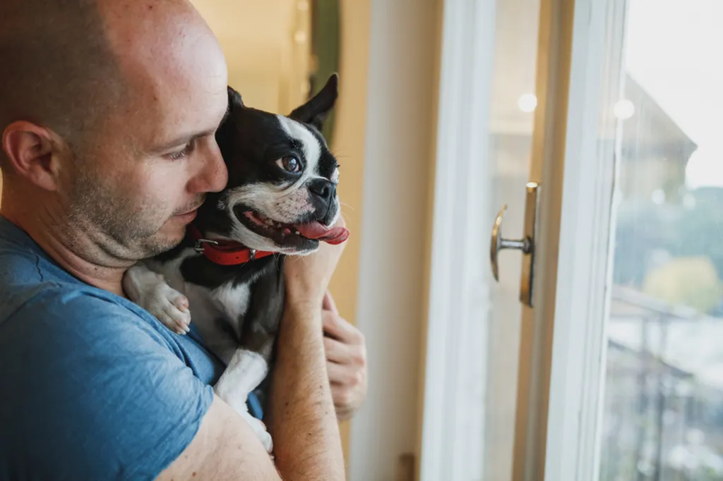 Comprendre le lien affectif à Lille avec Valérie Guillet, grâce à la constellation animale intuitive, pour apaiser votre chien