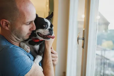 Comprendre le lien affectif à Lille avec Valérie Guillet, grâce à la constellation animale intuitive, pour apaiser votre chien