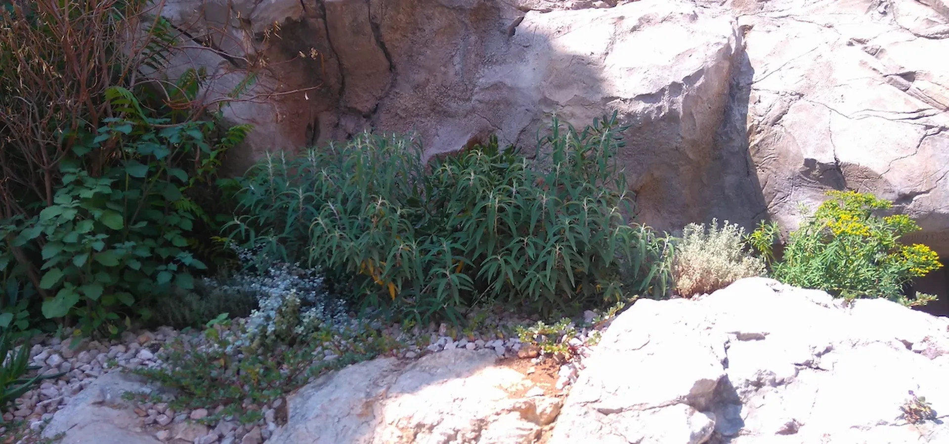 devis paysagiste création jardin à Monaco