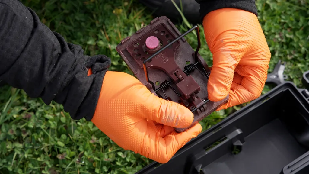Deratiseur urgence à Toulouse intervention en 48  heures