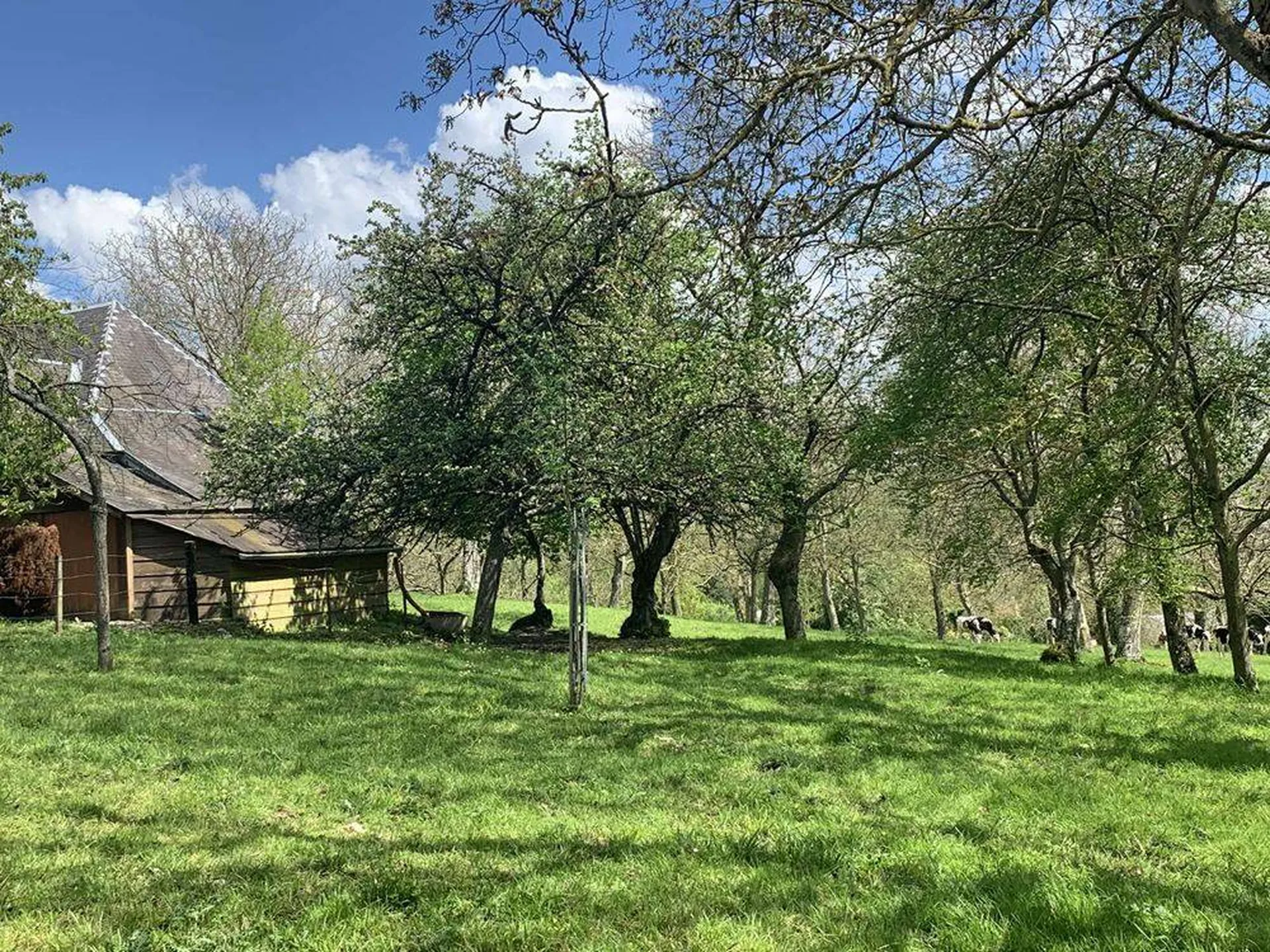 L’Agence Immobilière Terres et Demeures de Normandie située à Lisieux 14100, 41 avenue Victor Hugo, vous propose de venir découvrir dans le Sud du PAYS D'AUGE du CALVADOS, entre LIVAROT 14140 et SAINT-PIERRE EN AUGE 14170, cette petite propriété agri