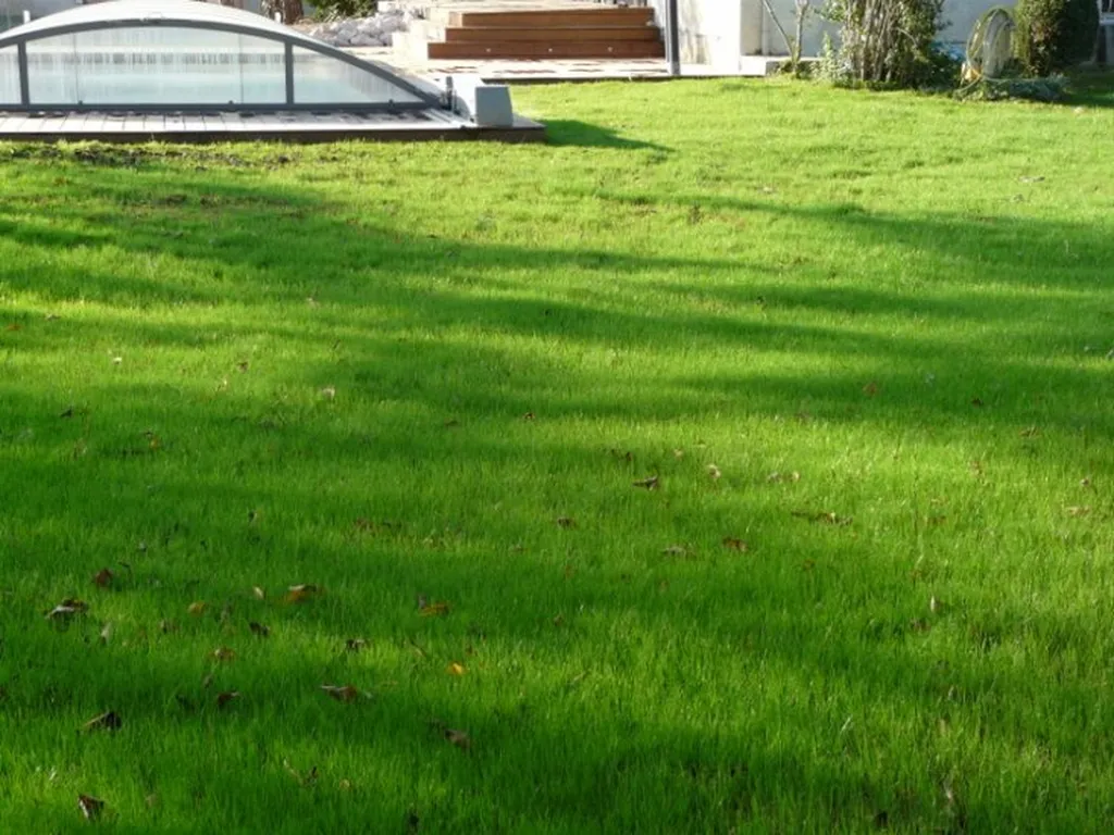Paysagiste décorateur extérieur jardin et parc Toulouse