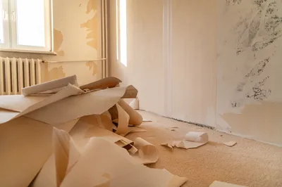 Nettoyage après rénovation en Alsace : remise au propre après travaux