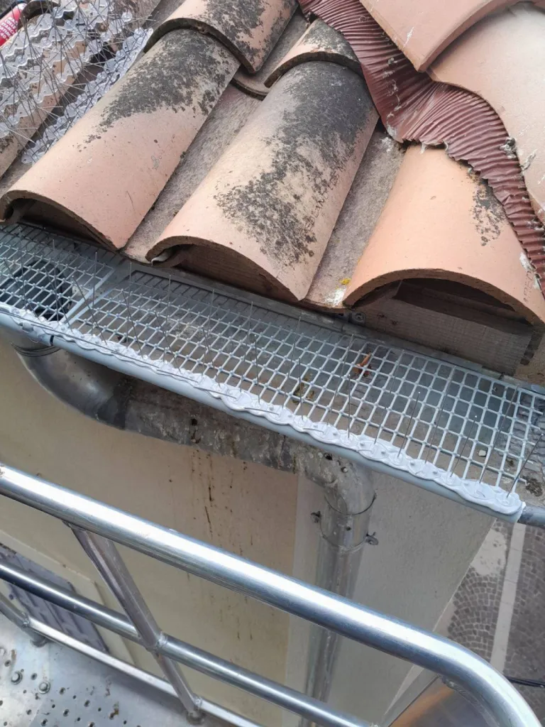 parefeuiiles sur gouttière à velaux