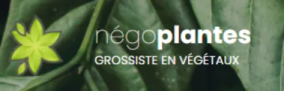 Négoplantes