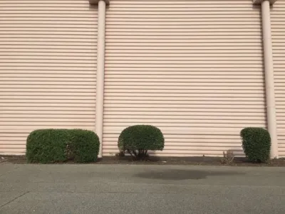 Taille architecturée des massifs