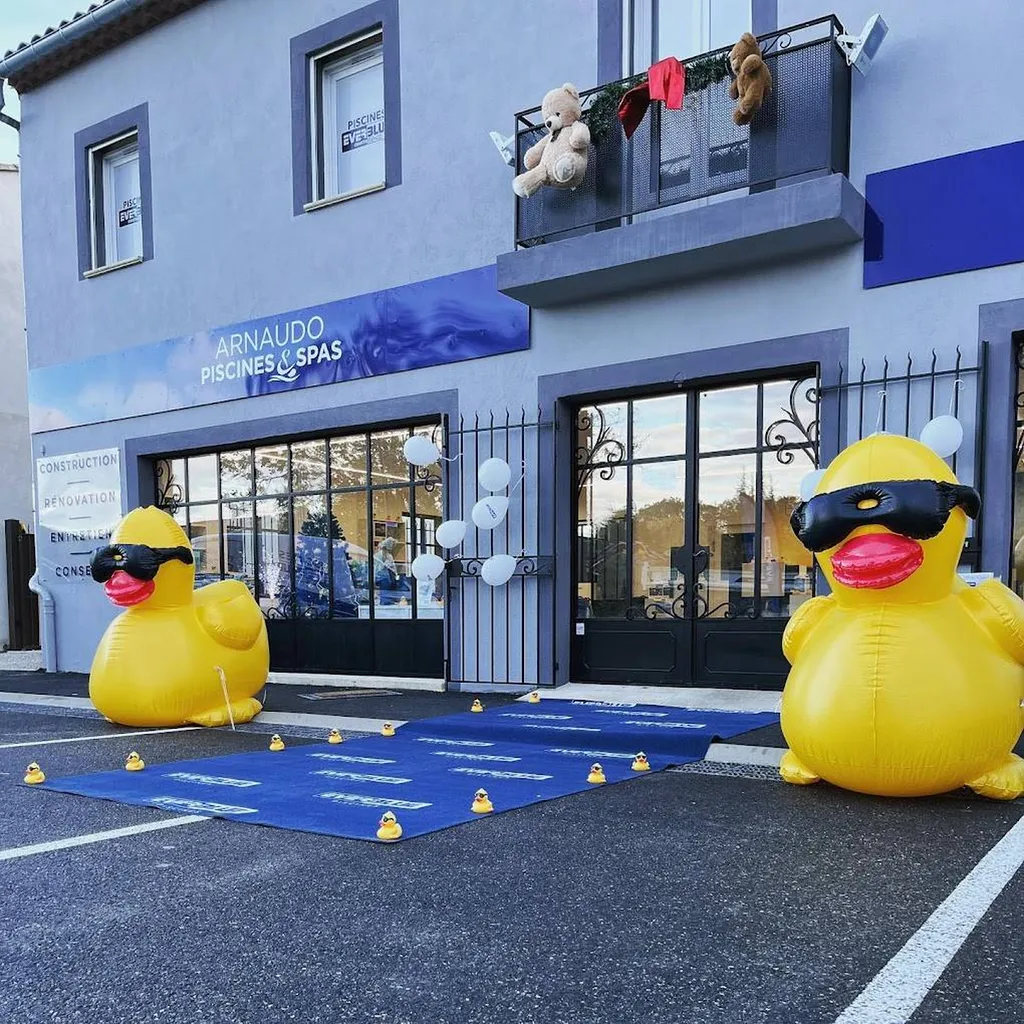 projet de construction, rénovation, équipement et entretien de piscine de qualité à Maubec Vaucluse