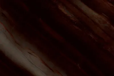 Elegant Brown Quartzite