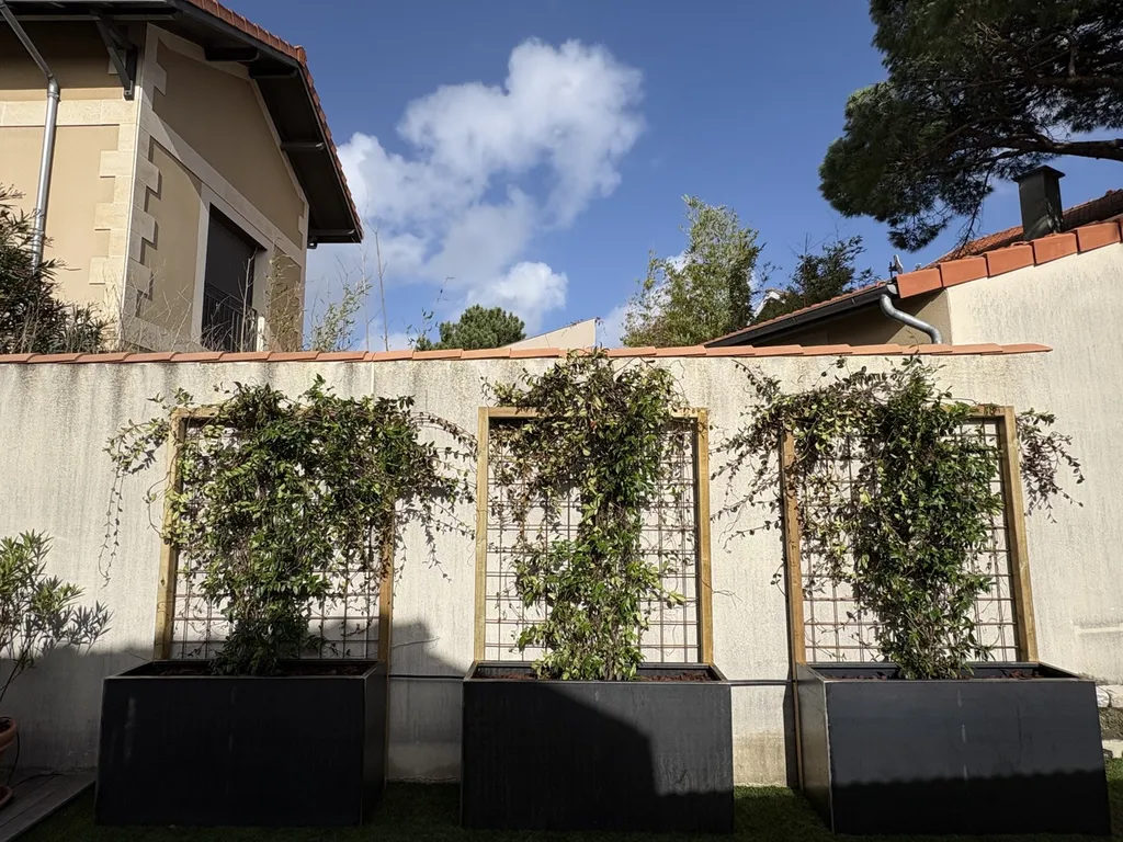 Création de bacs Corten avec treillis soudé, poteaux pin et Trachelospermum jasminoides – occultation naturelle Parentis-en-Born