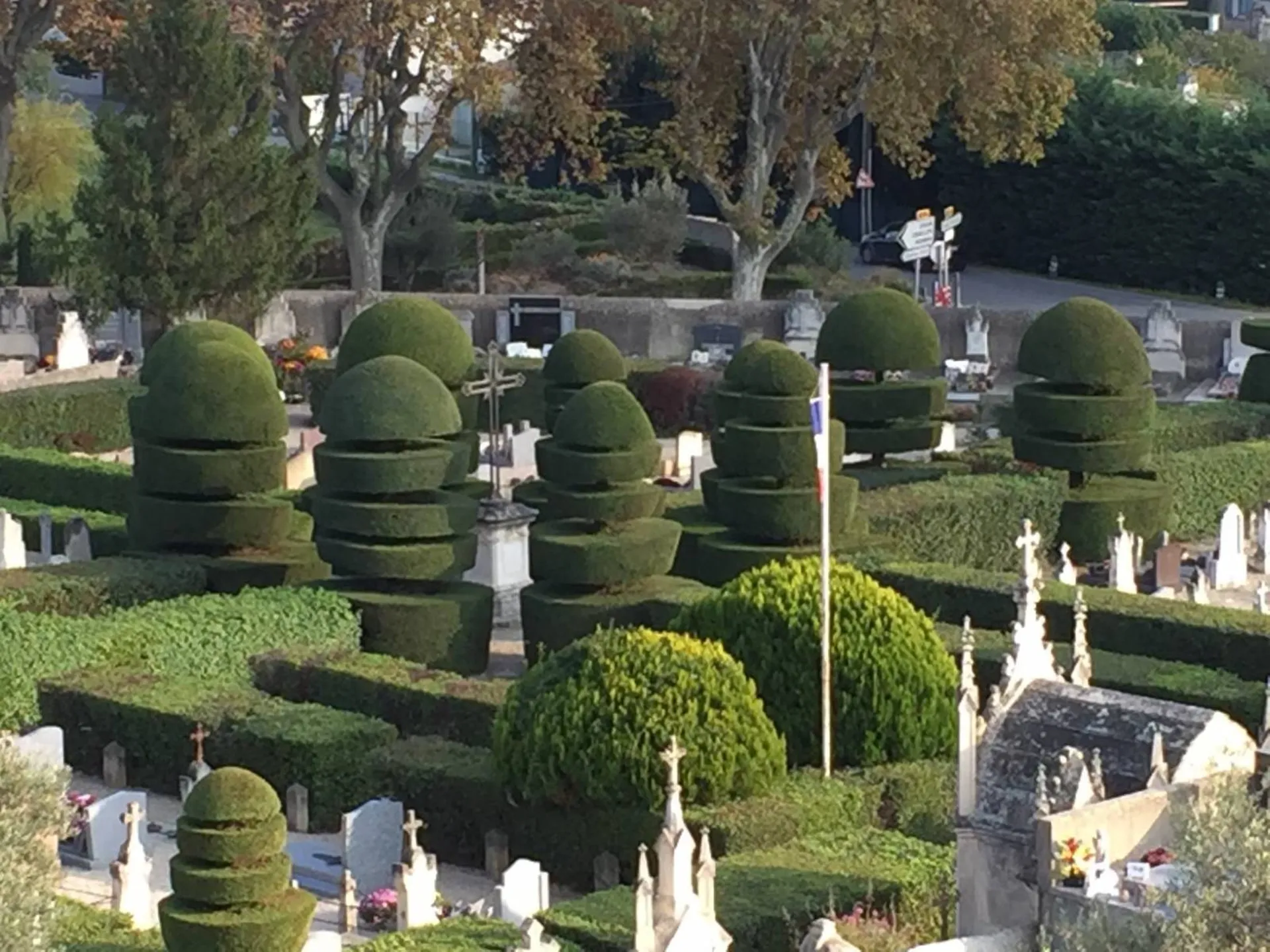 Carré Vert, paysagiste expert, réalise la taille de vos ifs à Saint-Rémy-de-Provence, 13210, pour garantir un entretien précis et un jardin soigné
